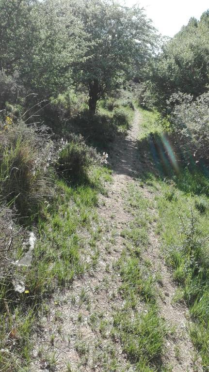 La Muralla Retortillo de Soria Exteriör bild